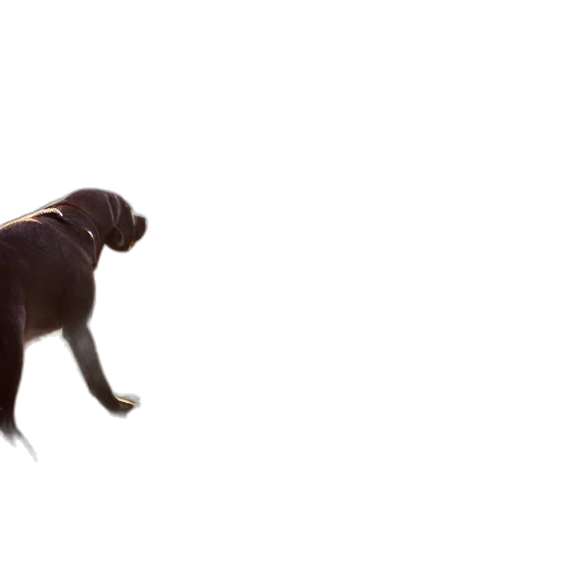 animal, creature, staff, dragon, 3d render, photorealistic, concept art, dog transparent PNG cut-out