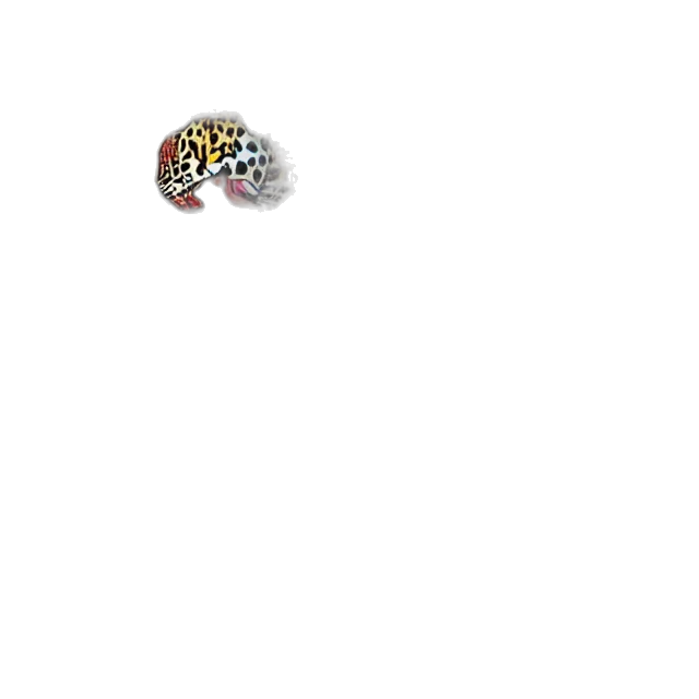 jewelry, hat, crown, animal transparent PNG cut-out