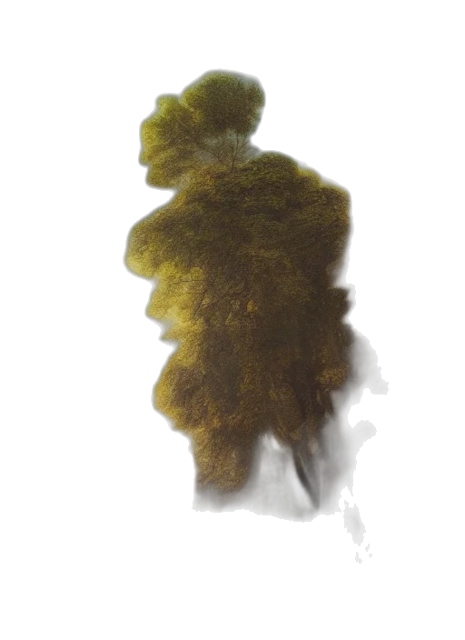 tree, hair, creature, face transparent PNG cut-out