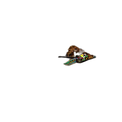 shoes, food, weapon, animal transparent PNG cut-out