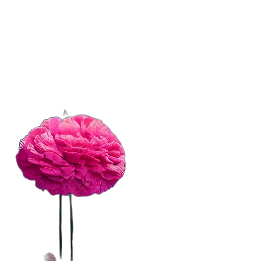 hat, crown, flower, umbrella, 3d render, photorealistic, vaporwave, neon transparent PNG cut-out