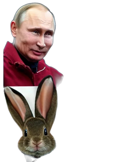 animal, creature, jacket, mask transparent PNG cut-out