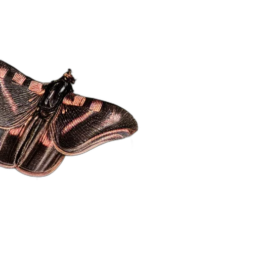 shoes, dragon, jewelry, mask, 3d render, photorealistic, dark, acherontia transparent PNG cut-out