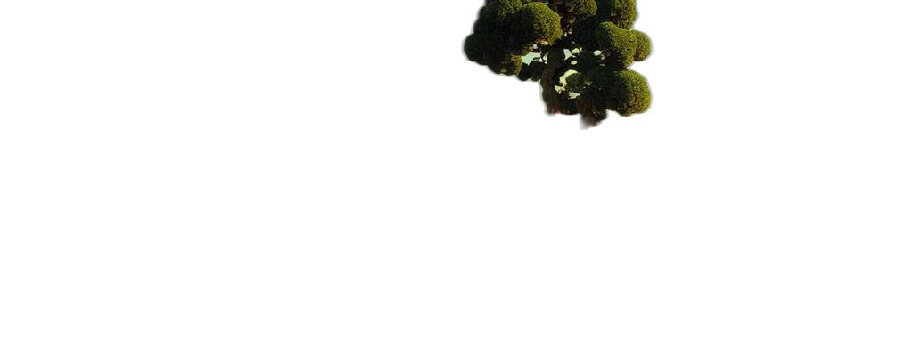 tree, dragon, crown, creature transparent PNG cut-out