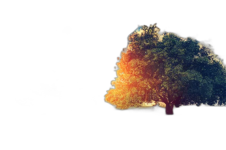 tree, crown, hat, hair, photorealistic, 3d render, concept art, fantasy art transparent PNG cut-out