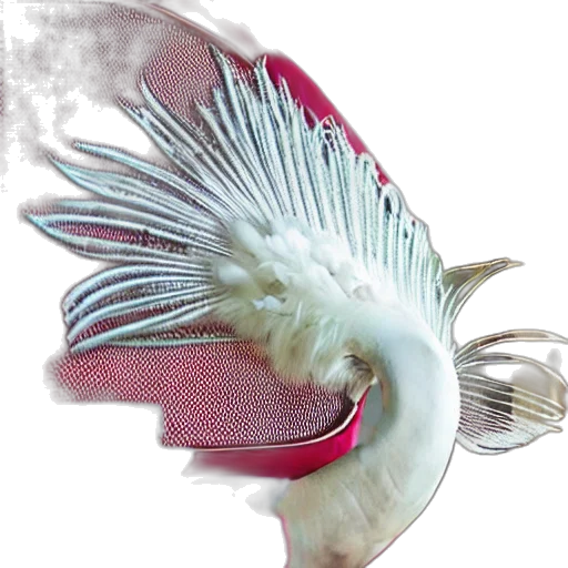 animal, creature, hat, dragon transparent PNG cut-out