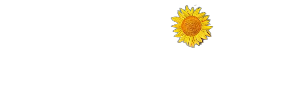 flower, umbrella, crown, jewelry, pixel art, 3d render, photorealistic, concept art transparent PNG cut-out