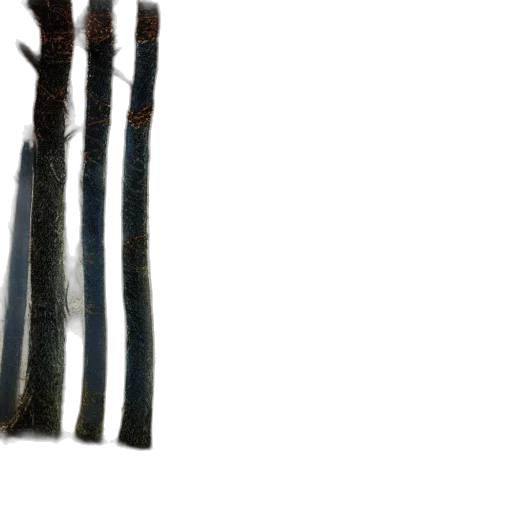 hair, tree, sword, staff, 3d render, concept art, photorealistic, watercolor transparent PNG cut-out