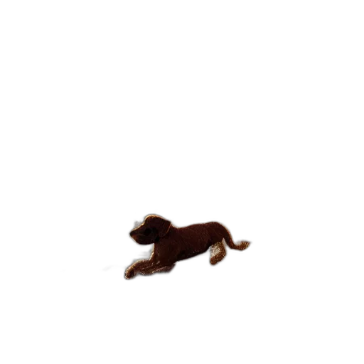 animal, creature, staff, food transparent PNG cut-out