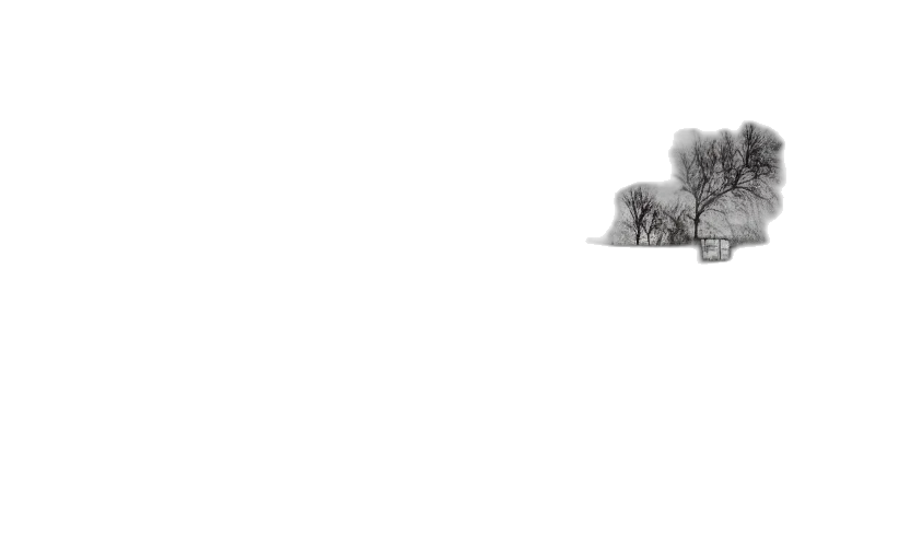 tree, animal, robot, car transparent PNG cut-out