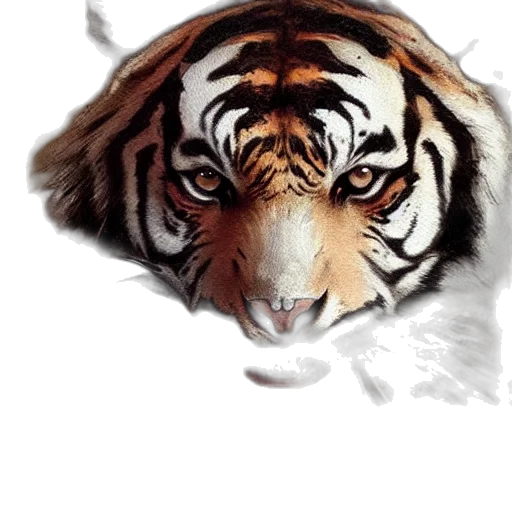 animal, face, mask, creature transparent PNG cut-out