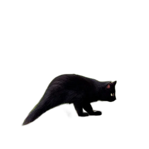 animal, creature, staff, hat transparent PNG cut-out