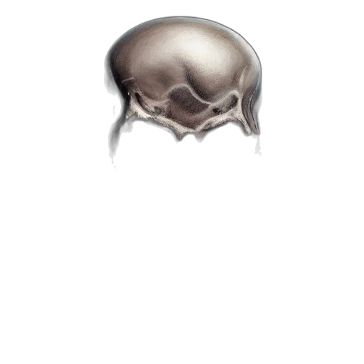 creature, hair, animal, mask transparent PNG cut-out
