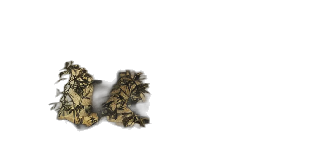 crown, jewelry, dragon, mask transparent PNG cut-out