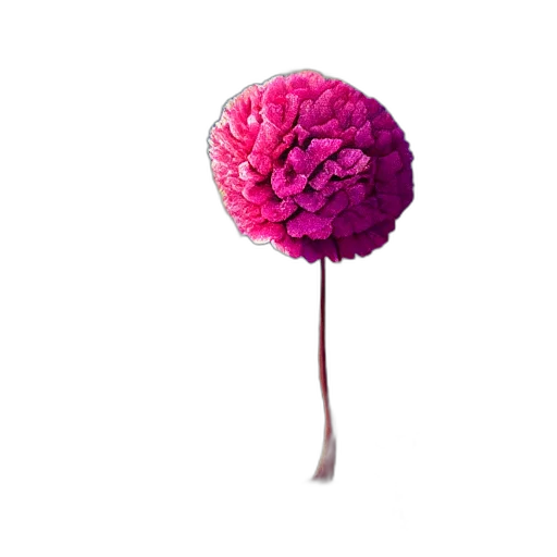 flower, umbrella, tree, hat transparent PNG cut-out