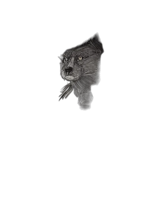 animal, creature, dragon, hair, photorealistic, concept art, 3d render, fantasy art transparent PNG cut-out