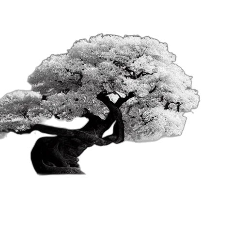 tree, crown, animal, hair, photorealistic, 3d render, concept art, fantasy art transparent PNG cut-out