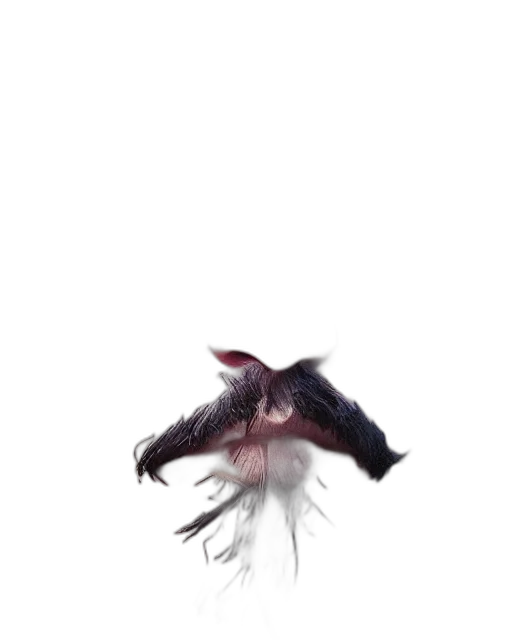 hair, creature, dragon, animal, photorealistic, 3d render, concept art, pixel art transparent PNG cut-out