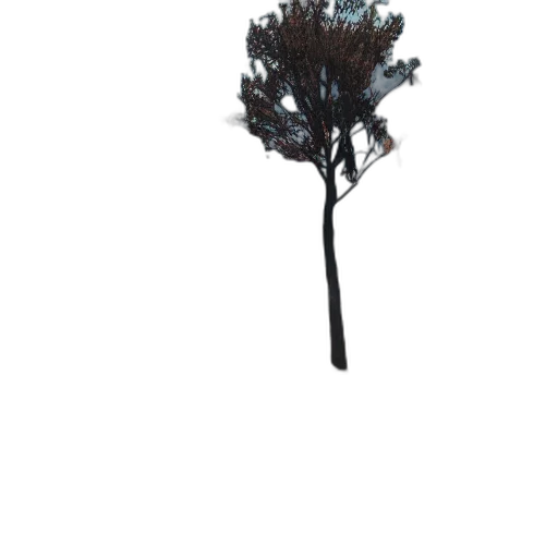 tree, crown, staff, umbrella transparent PNG cut-out