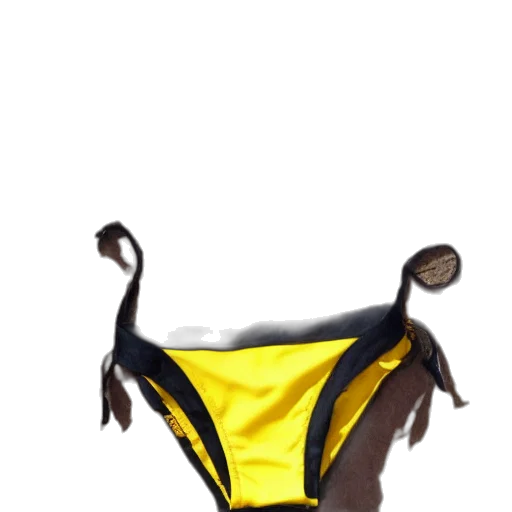 animal, jacket, dress, creature transparent PNG cut-out