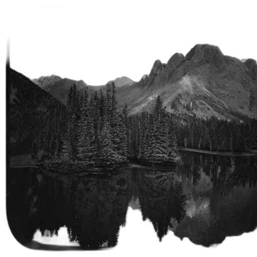 tree, jacket, hat, crown transparent PNG cut-out