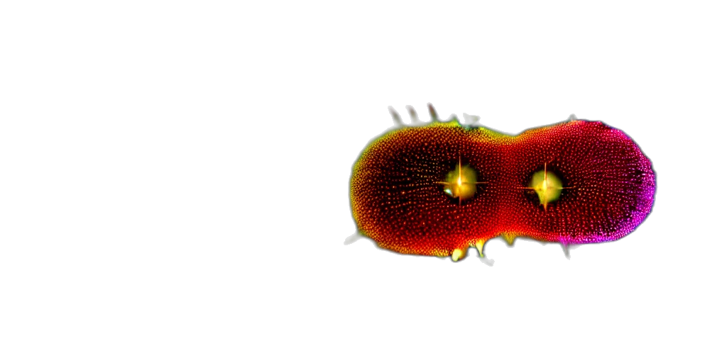 animal, creature, crown, hair, 3d render, photorealistic, concept art, underwater transparent PNG cut-out