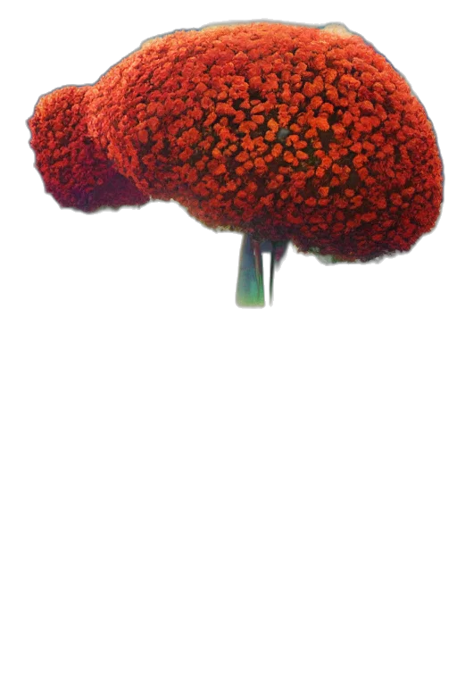 hat, flower, tree, crown, photorealistic, 3d render, concept art, oil painting transparent PNG cut-out