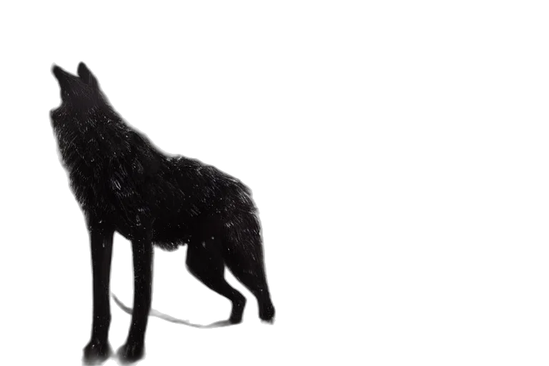 animal, creature, hair, concept art transparent PNG cut-out