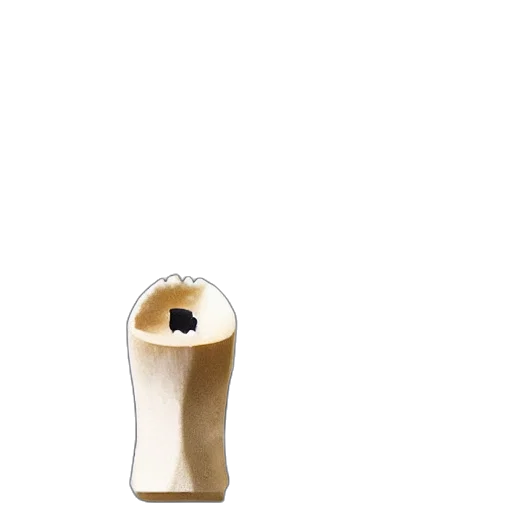 bottle, shoes, weapon, dress, 3d render, concept art, photorealistic, earth tones transparent PNG cut-out