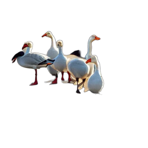 animal, jewelry, creature, staff, 3d render, concept art, photorealistic, pixel art transparent PNG cut-out