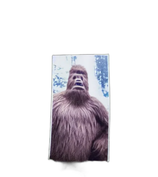 animal, creature, face, hair transparent PNG cut-out