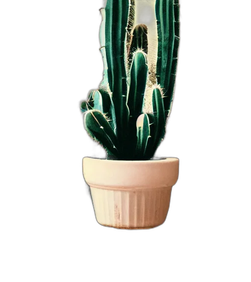 creature, staff, flower, hat, 3d render, photorealistic, concept art, pixel art transparent PNG cut-out