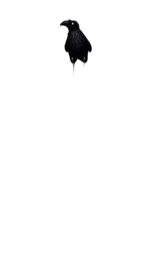 staff, hat, mask, face, pixel art, cartoon, concept art, comic book art transparent PNG cut-out