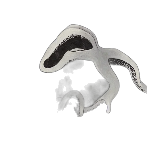 jewelry, mask, dragon, creature, 3d render, photorealistic, concept art, tape transparent PNG cut-out