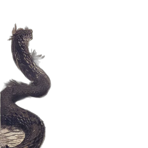 dragon, animal, hair, creature transparent PNG cut-out