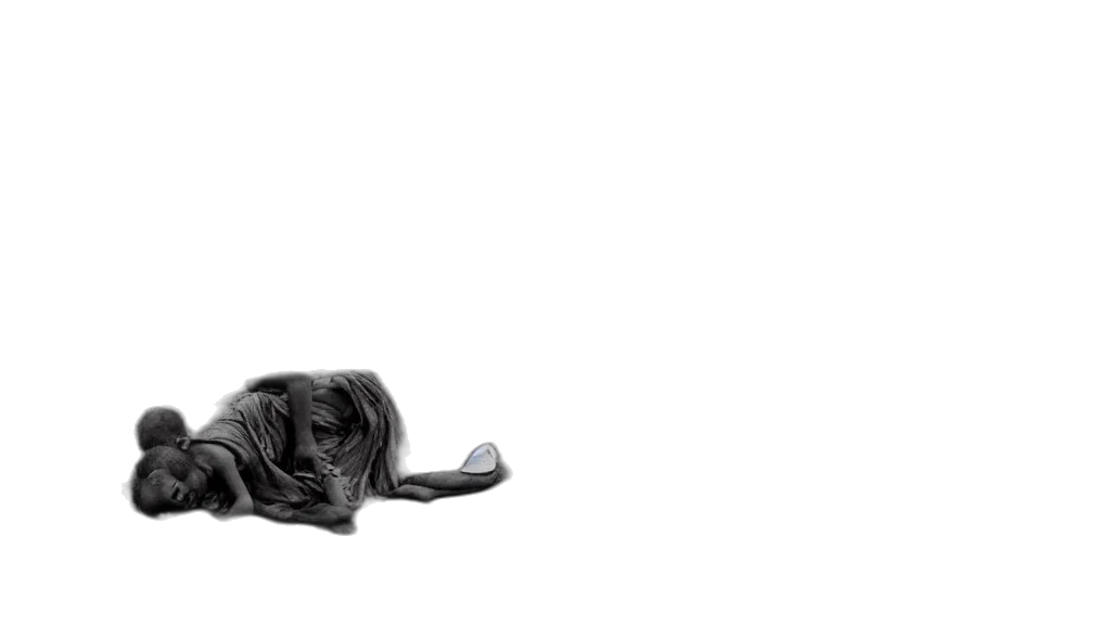 animal, hair, creature, shoes transparent PNG cut-out