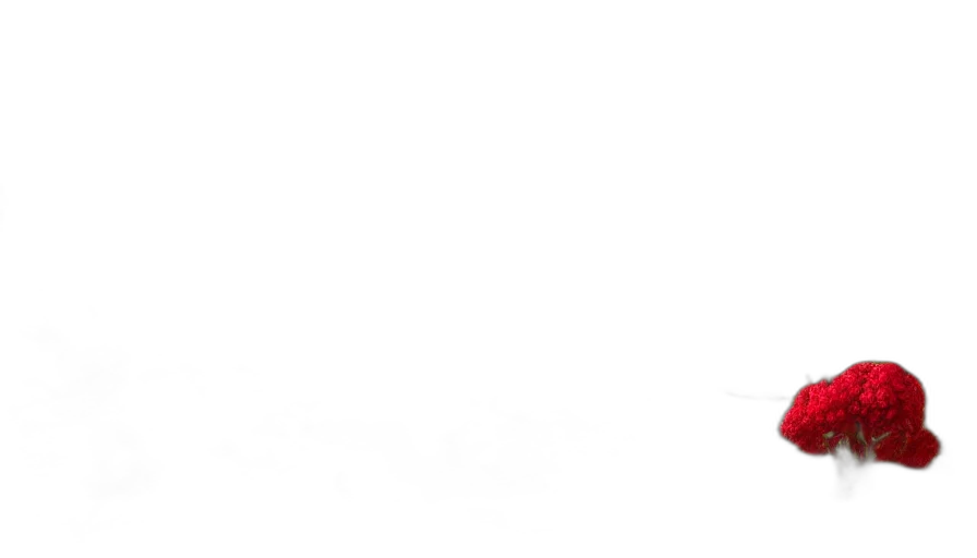 staff, shoes, sword, face transparent PNG cut-out