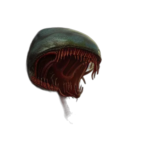 creature, hat, hair, animal transparent PNG cut-out