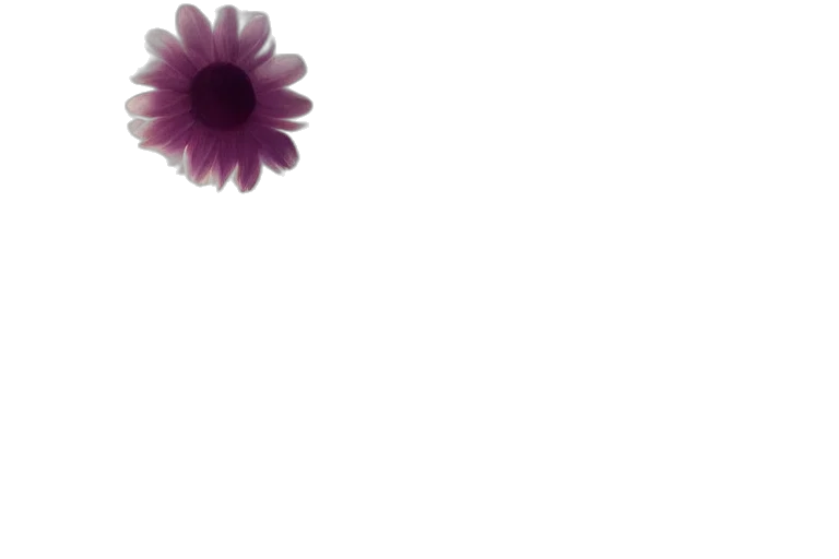 flower, crown, jewelry, dress, photorealistic, 3d render, pixel art, oil painting transparent PNG cut-out