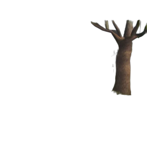 tree, crown, animal, creature transparent PNG cut-out