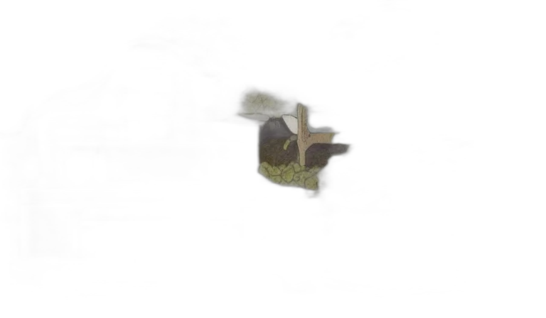 hat, weapon, dragon, crown transparent PNG cut-out