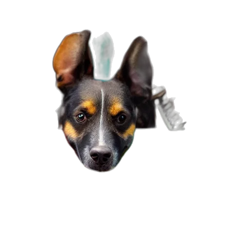 animal, staff, creature, face, photorealistic, 3d render, pixel art, concept art transparent PNG cut-out