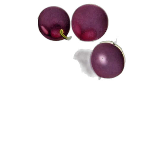 jewelry, food, crown, weapon, photorealistic, 3d render, concept art, oil painting transparent PNG cut-out