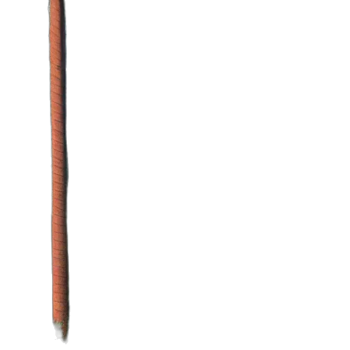 staff, sword, weapon, umbrella transparent PNG cut-out
