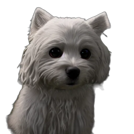 animal, staff, face, creature transparent PNG cut-out