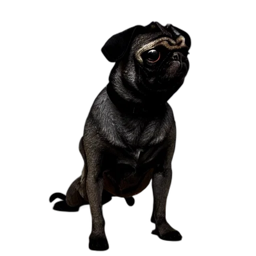 animal, creature, staff, face, photorealistic, 3d render, concept art, portrait transparent PNG cut-out