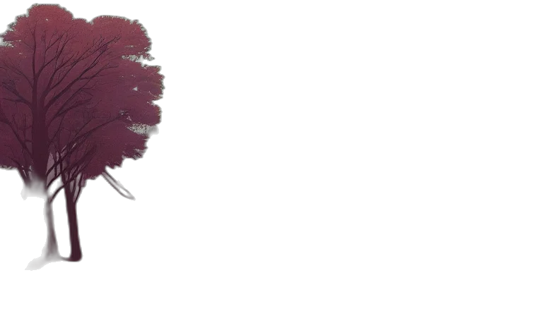 tree, hair, hat, flower transparent PNG cut-out
