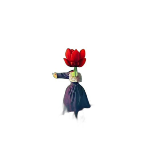 flower, dress, umbrella, crown transparent PNG cut-out