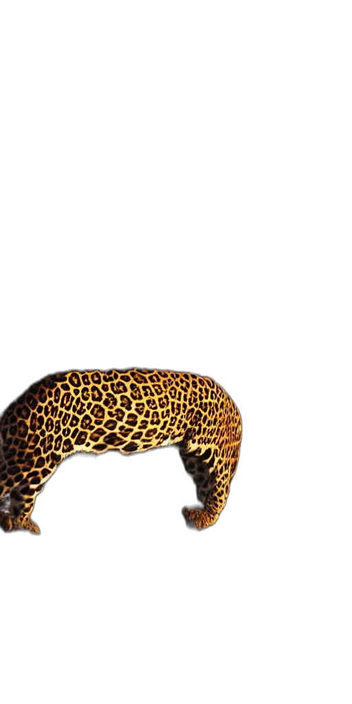 animal, hair, hat, shoes, 3d render, photorealistic, concept art, fantasy art transparent PNG cut-out