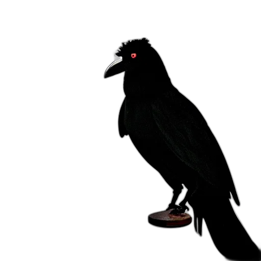 animal, creature, staff, shoes transparent PNG cut-out